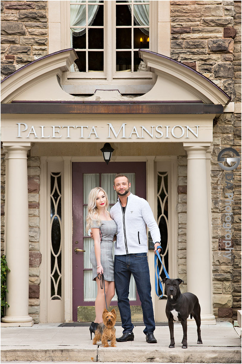 Relaxed engagement photos with dogs