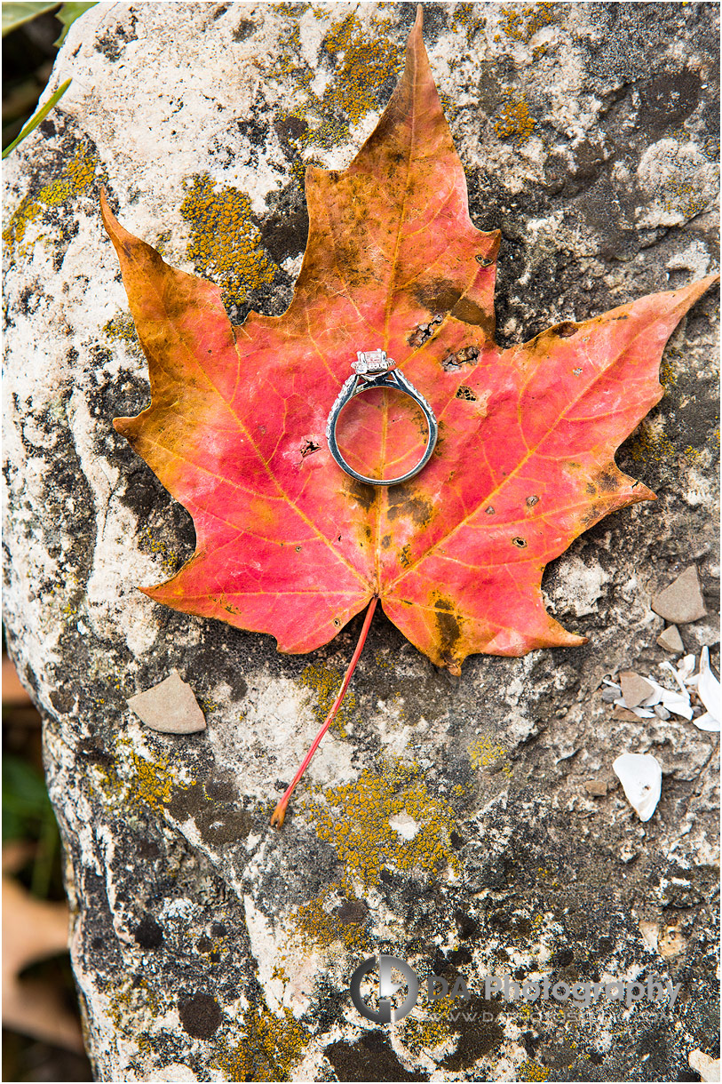 Engagement ring photo in Fall