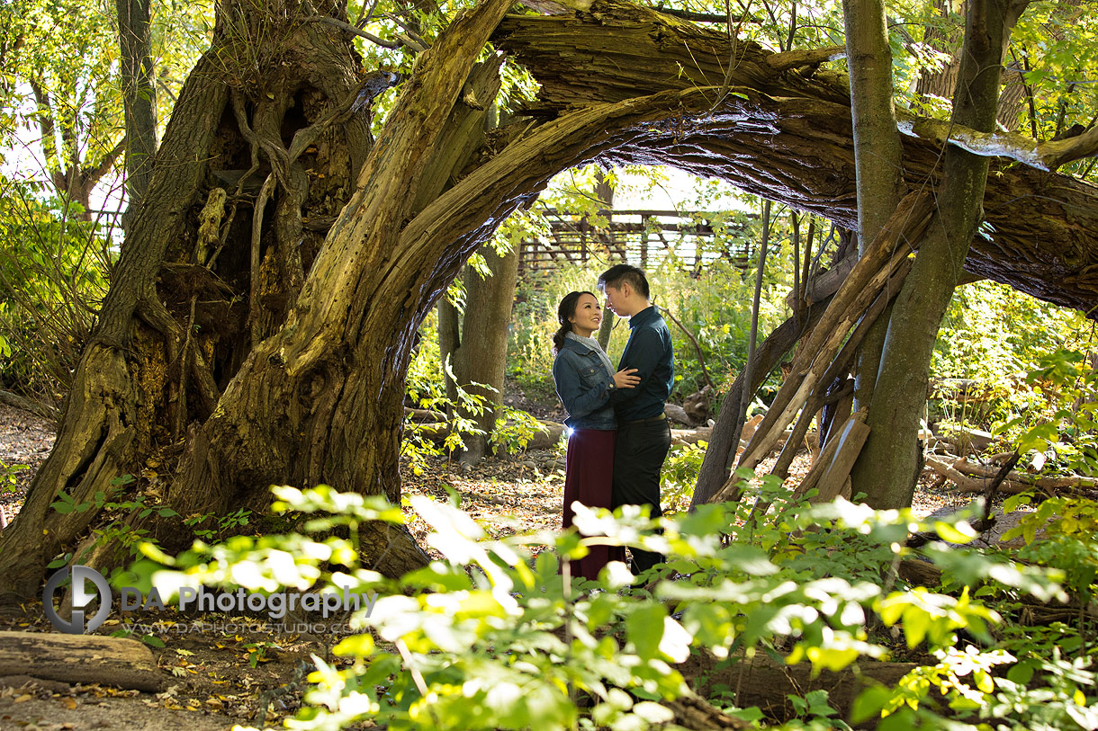 Burlington Engagement Photo Locations