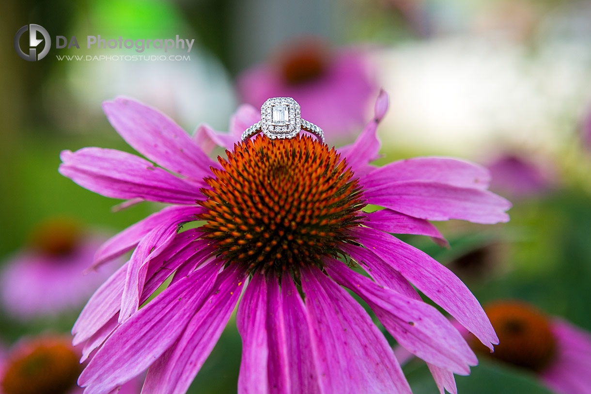 Best Paris Outdoor Engagement Location