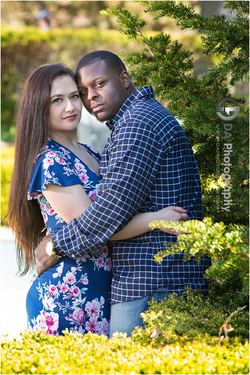 Engagement photos at High Park