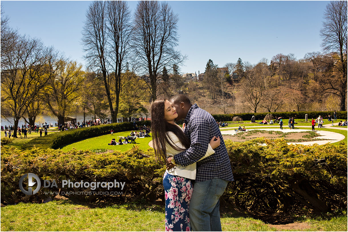 High Park cherry blossoms photos