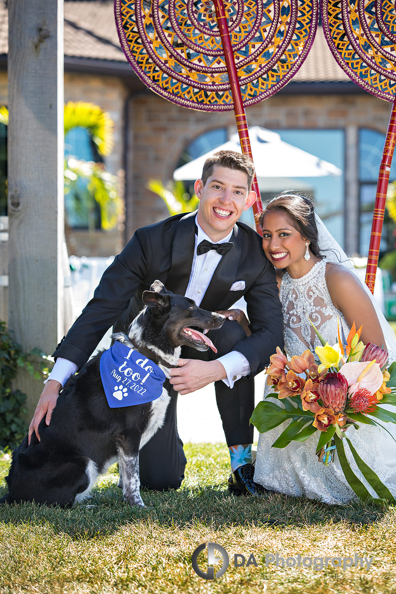 Bride and Groom with dog on their wedding day