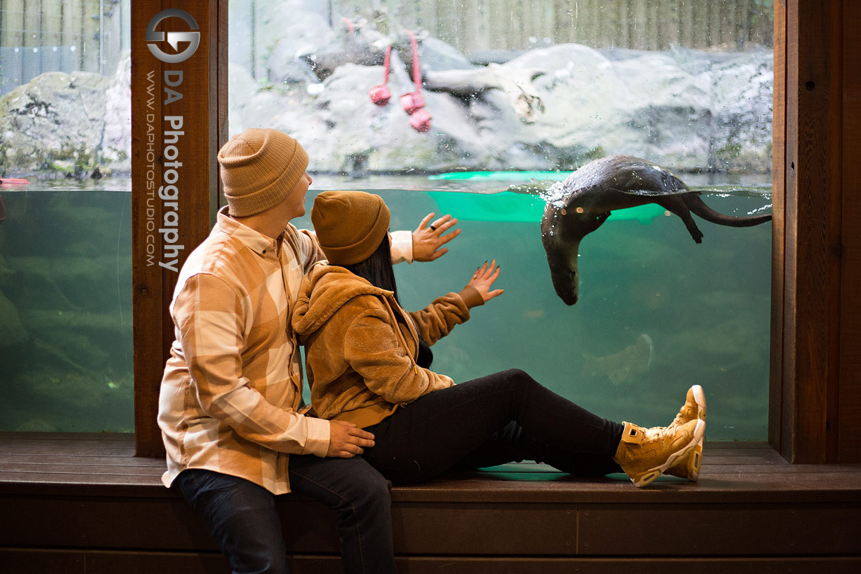 Engagement Photographs at Toronto Zoo