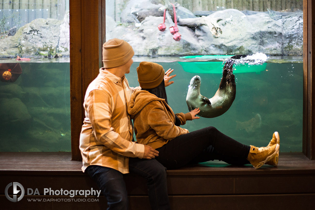 Engagement Photographer for Toronto Zoo