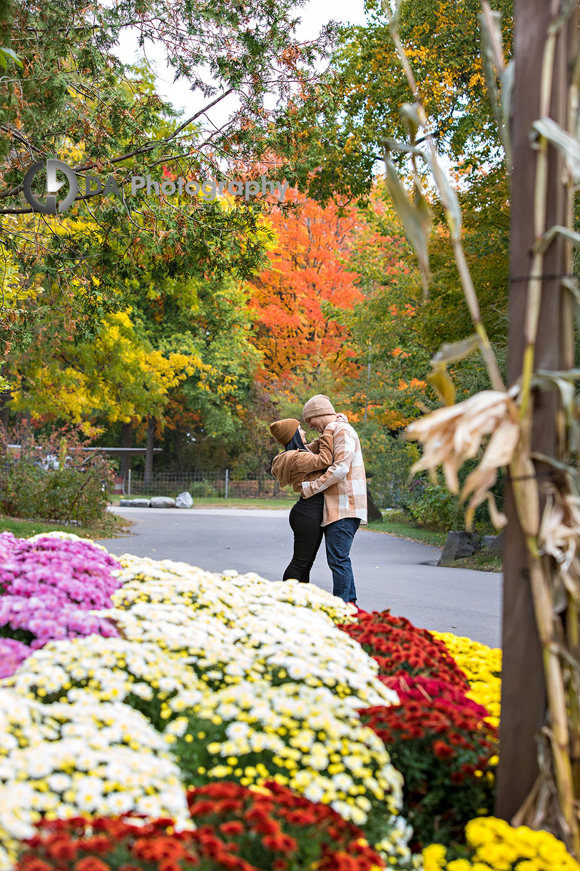 Outdoor Engagements at Toronto Zoo