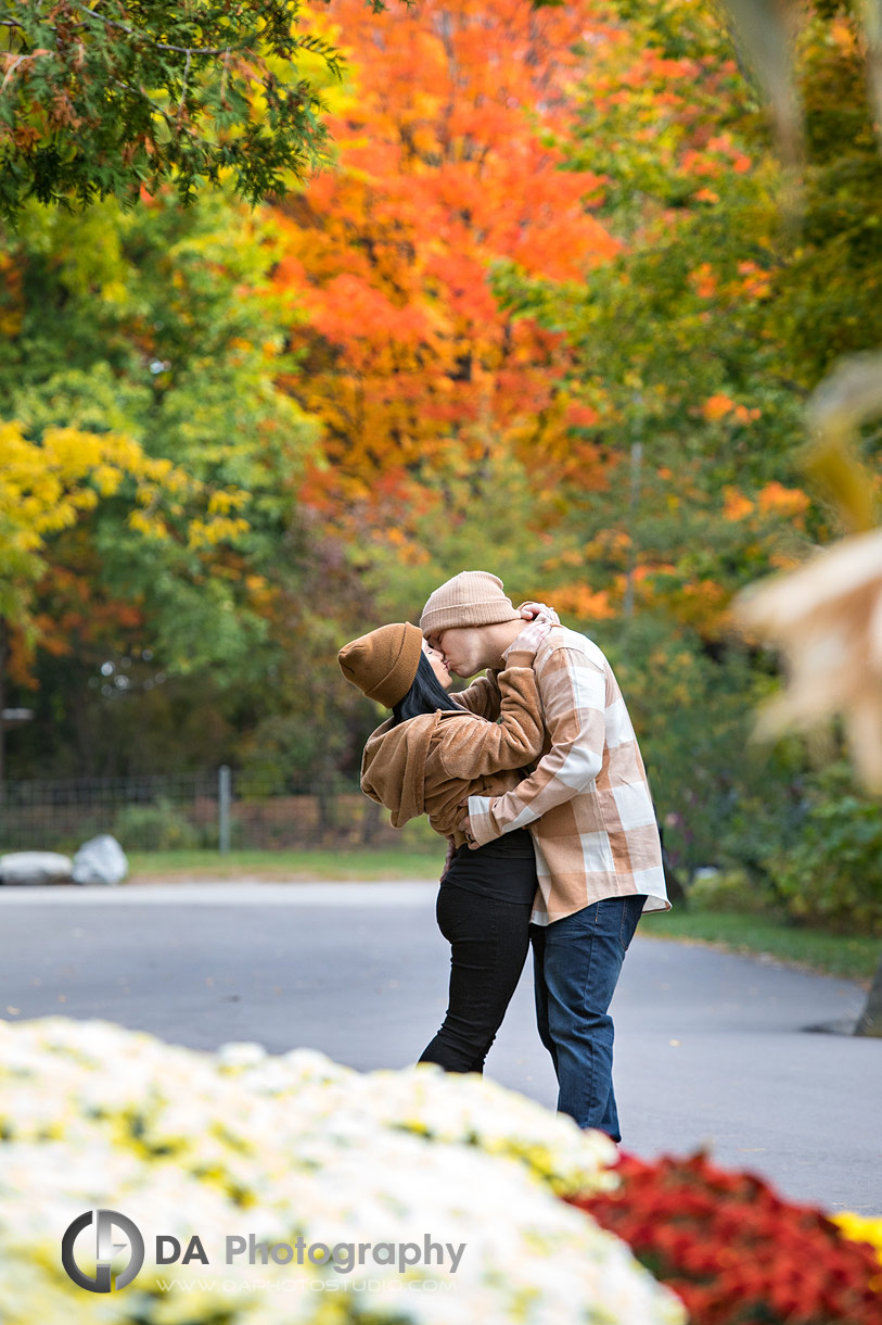 Toronto Engagements in Fall