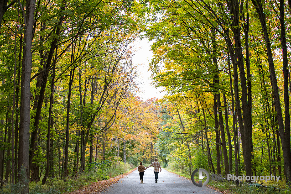 Best Engagements in Toronto