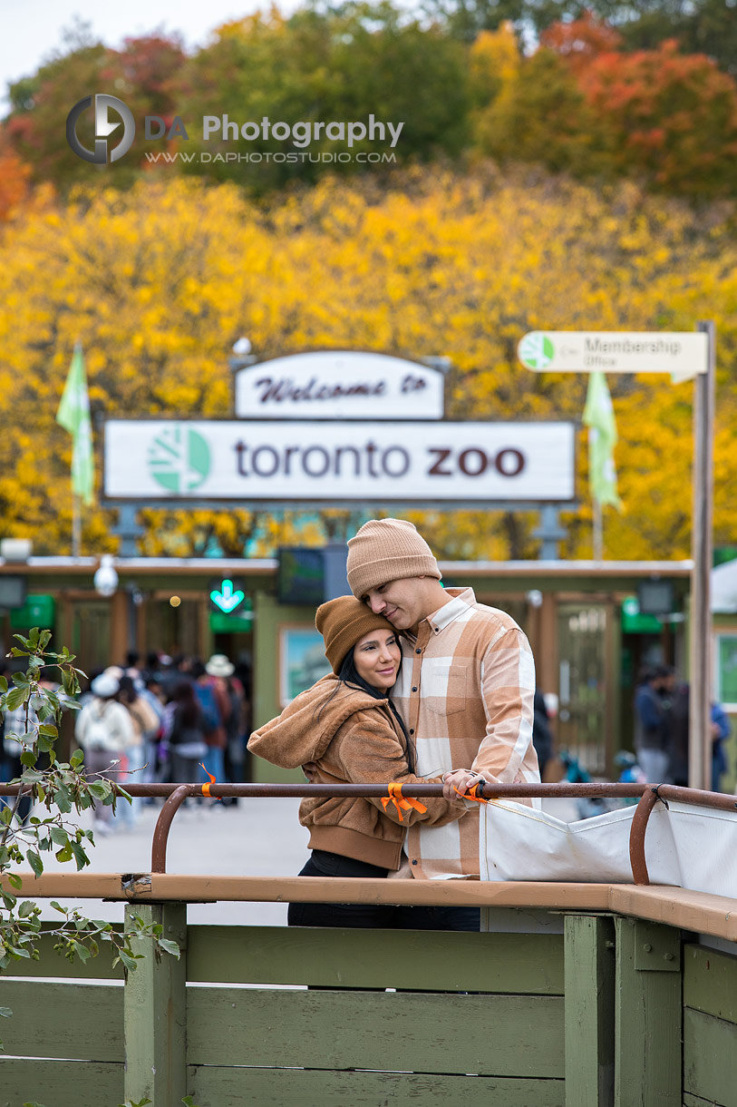 Toronto Zoo Engagement Photo