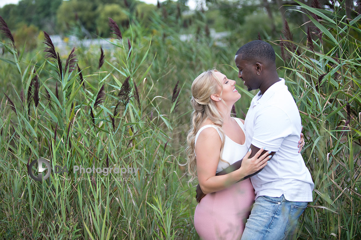 Engagement Photographs at Scarborough Bluffs