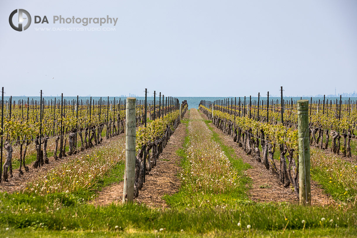 Photograph of Konzelmann Estate Winery in Niagara on The Lake