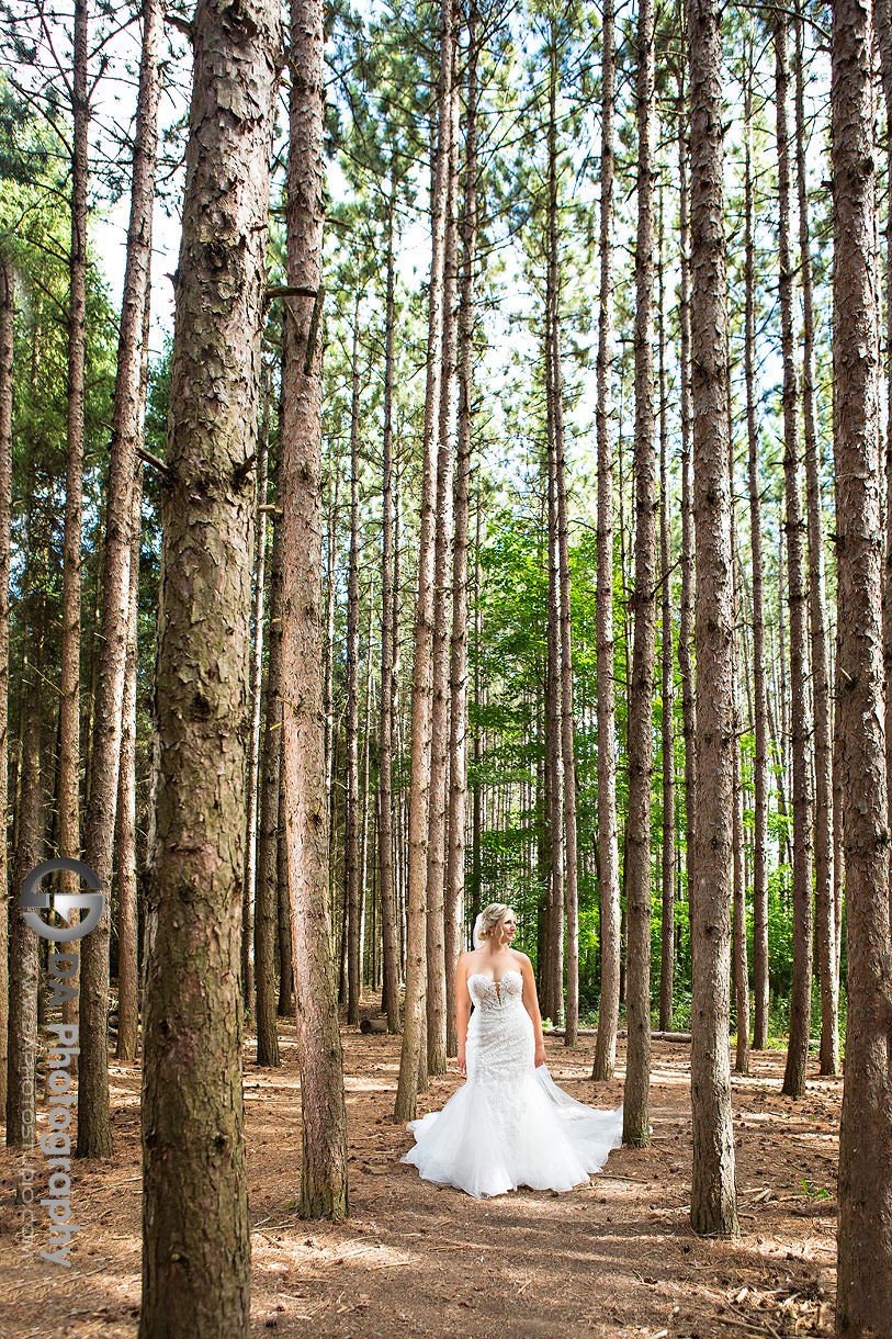 Wedding Dress at Kortright Centre