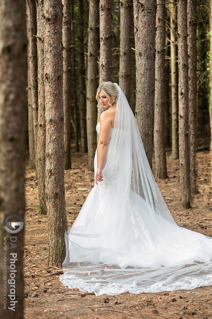 Brides at Kortright Centre