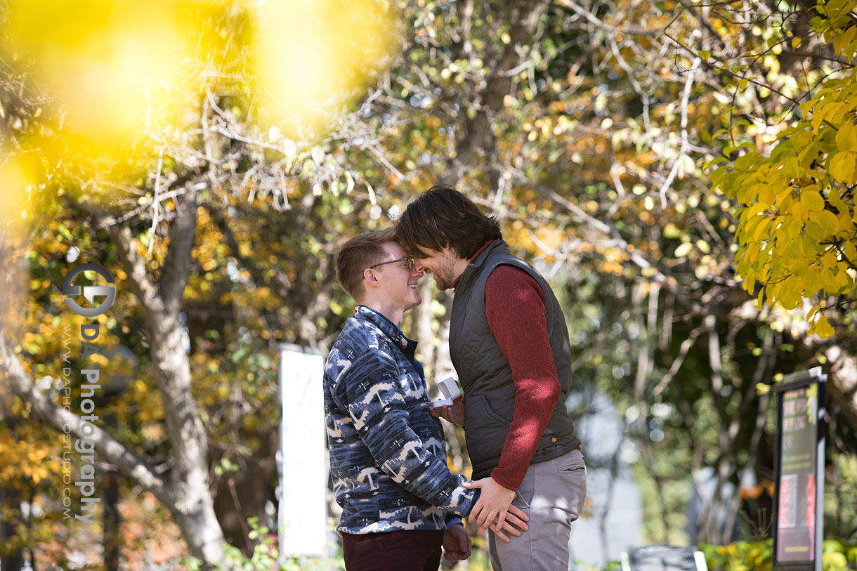 Intimate proposal photo at Toronto Music Garden