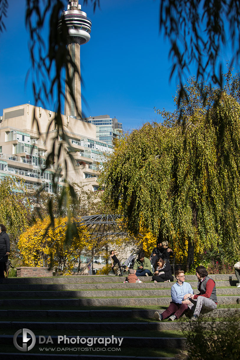 Intimate engagement photo at Toronto Music Garden