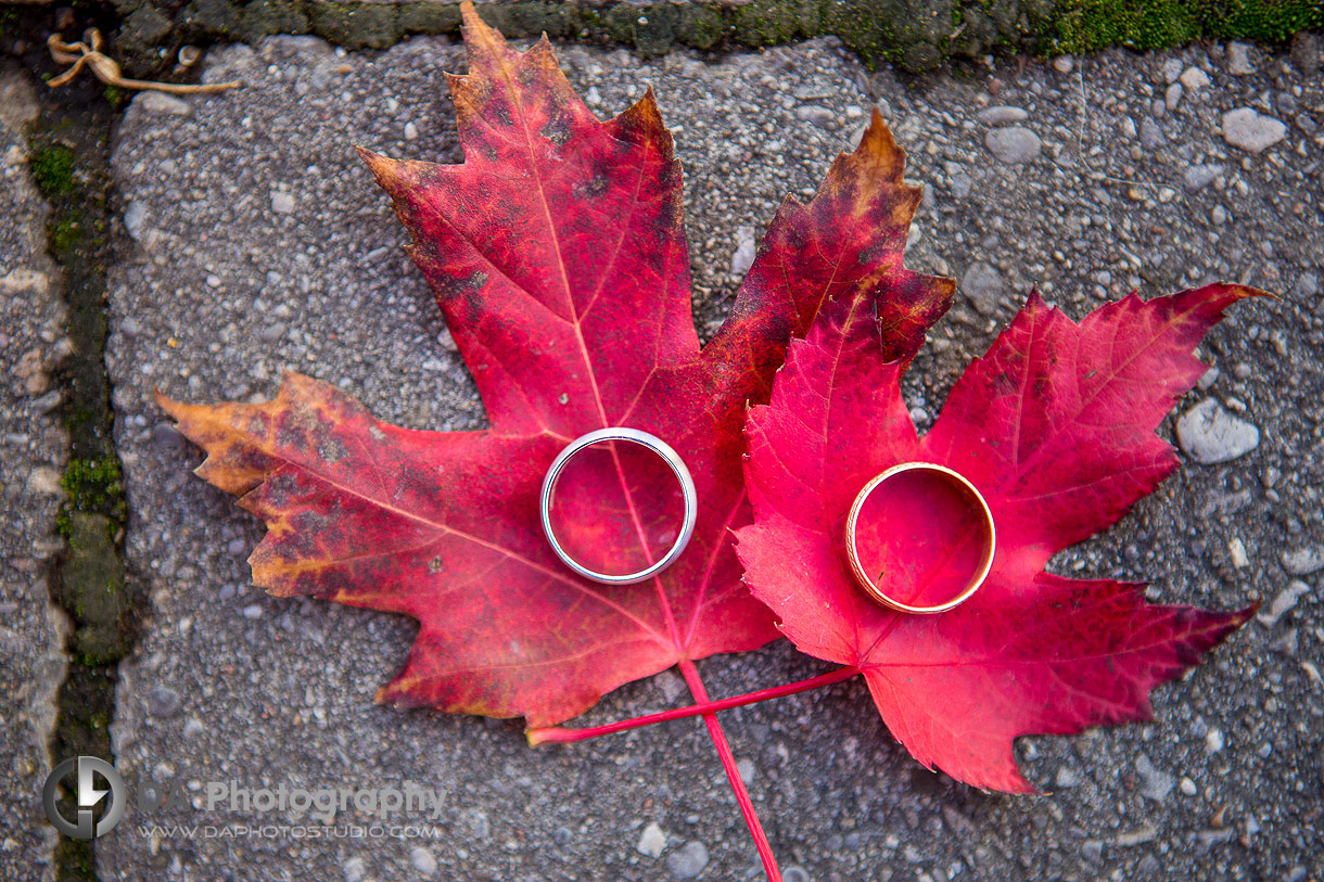 Engagement rings on a maple leaf