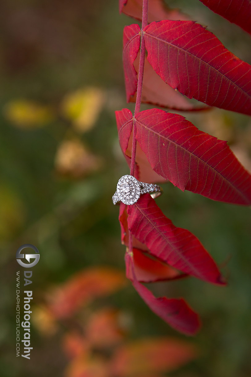 Engagement ring in Fall at Royal Botanical Gardens