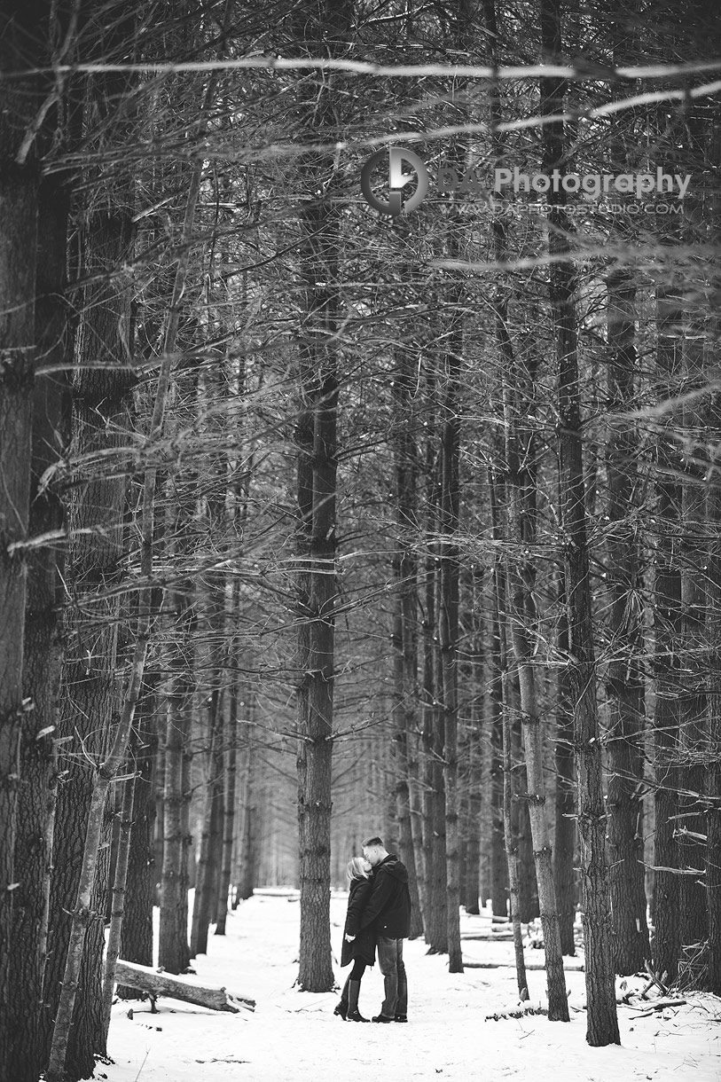 Guelph Winter Engagement at The Kortright Woods Trail