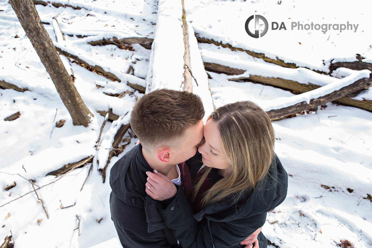 Engagement Photographs at Kortright Woods Trail