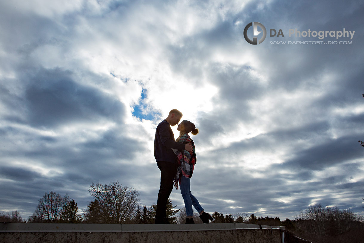 Guelph Winter Engagements at The University of Guelph Arboretum