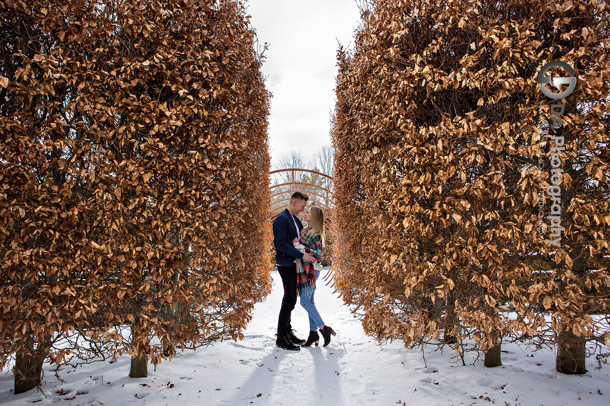 Guelph Winter Engagements at The University of Guelph Arboretum