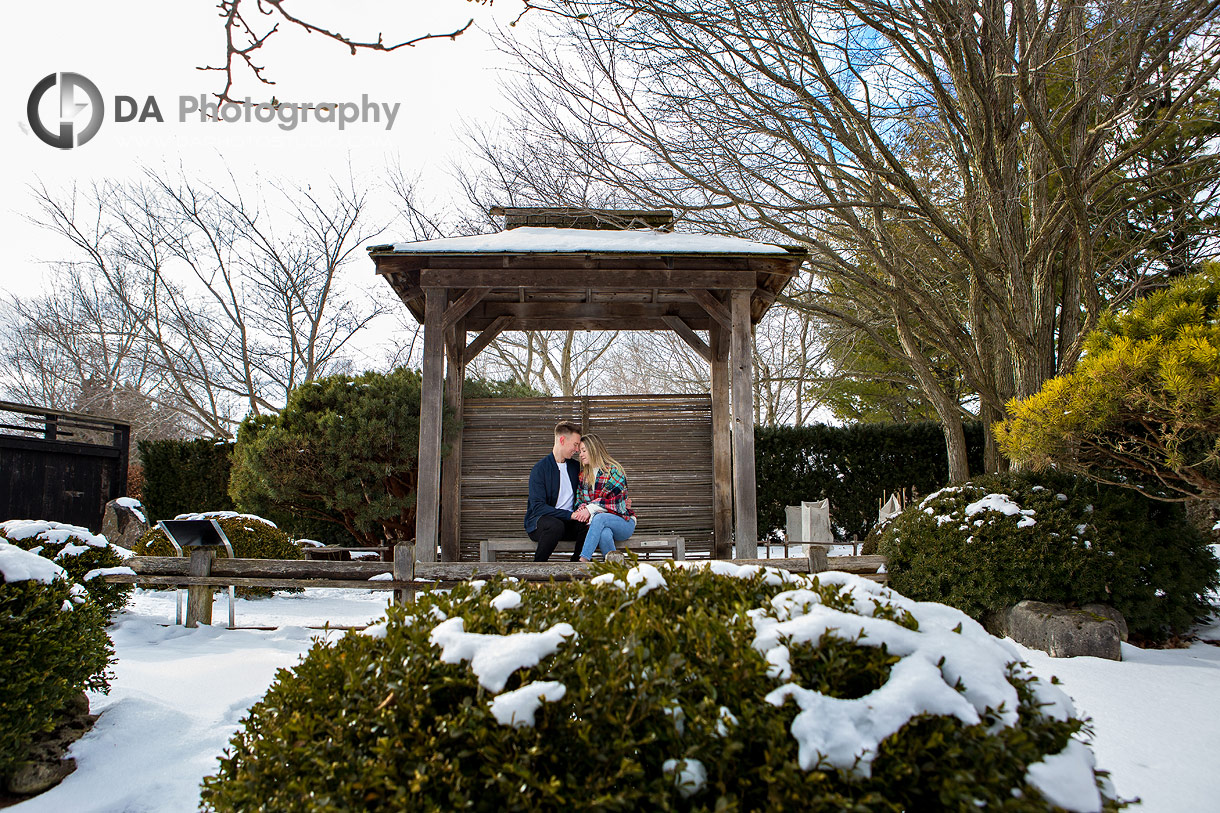 Engagements in Guelph in Winter at The University of Guelph Arboretum