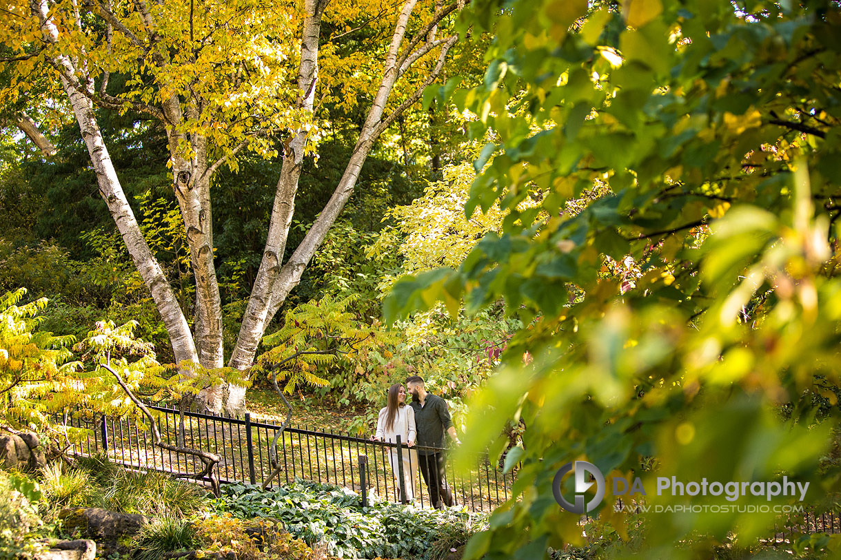 Toronto High Park Engagements