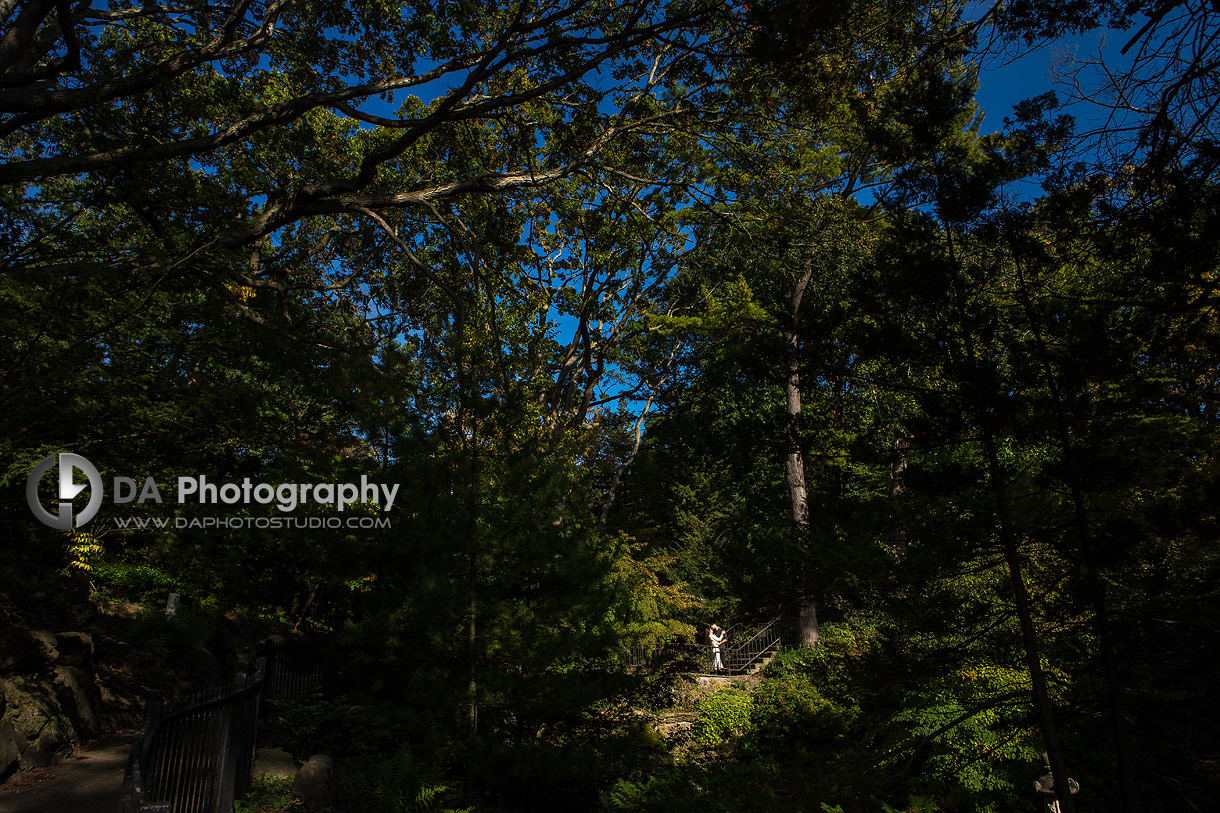 High Park engagement photography