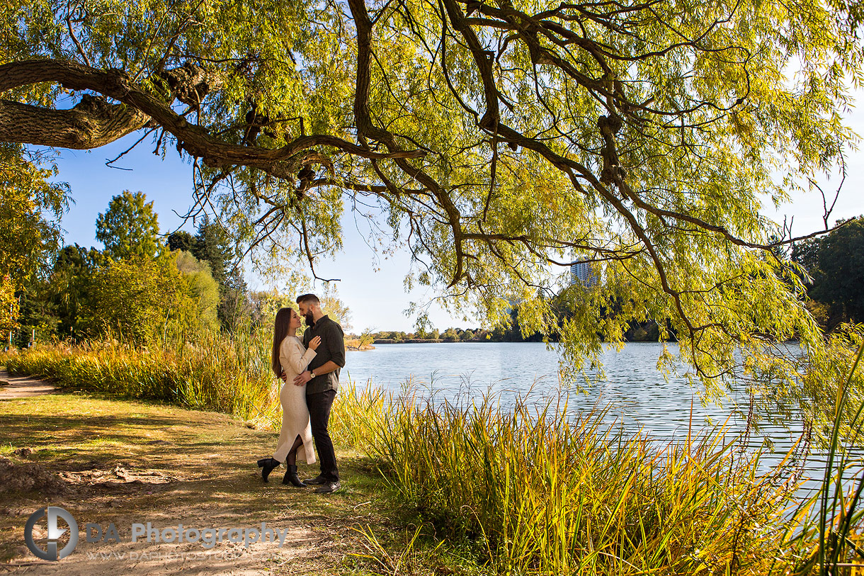 High Park Engagement