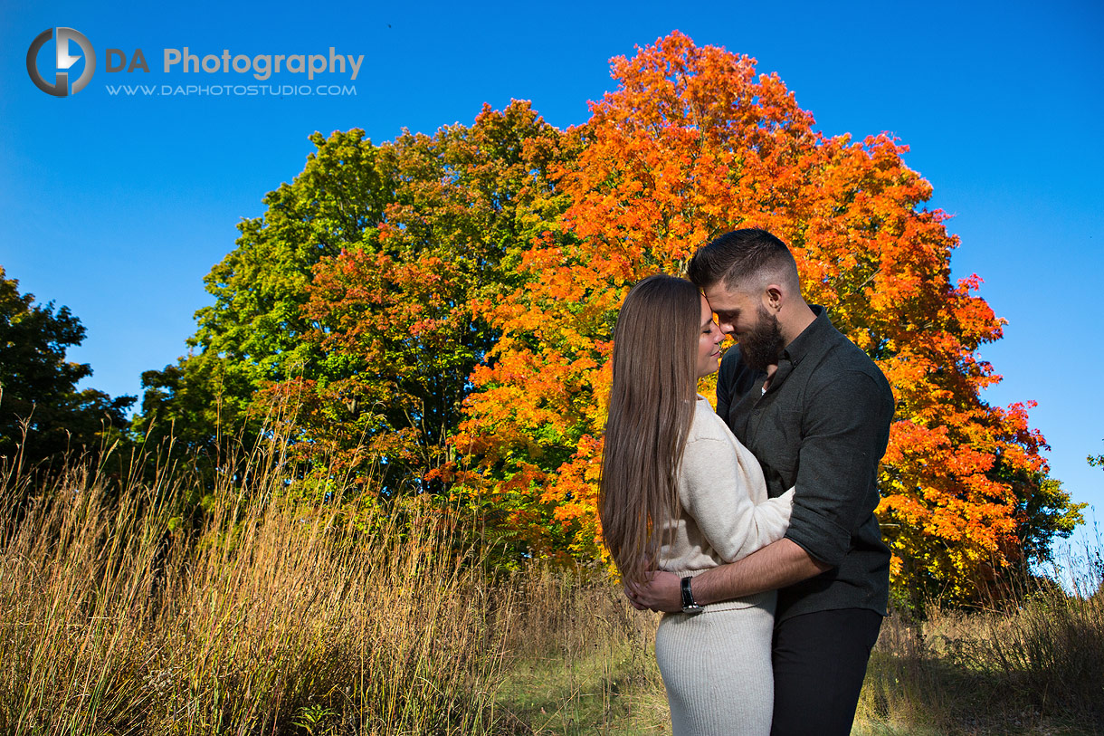 Engagement photographer in Toronto at High Park