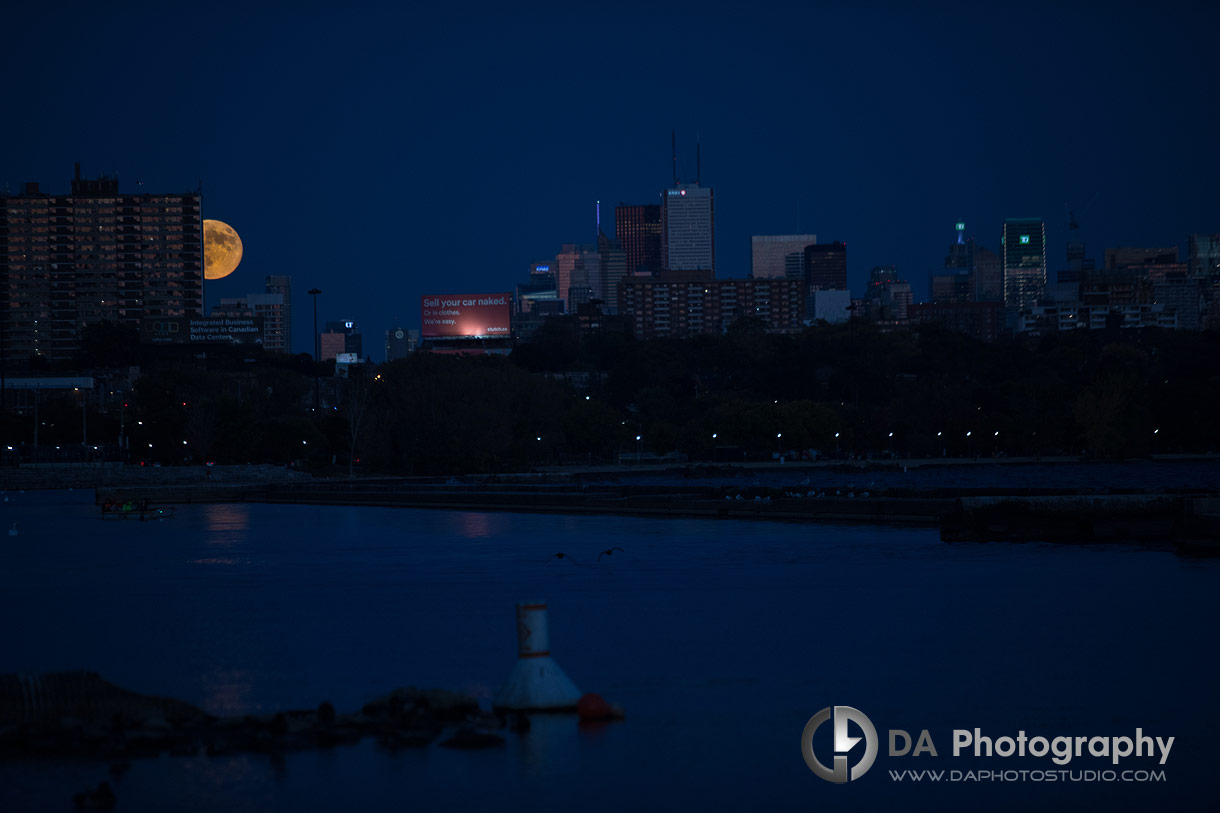 Photos of a Full Blue Moon in Toronto