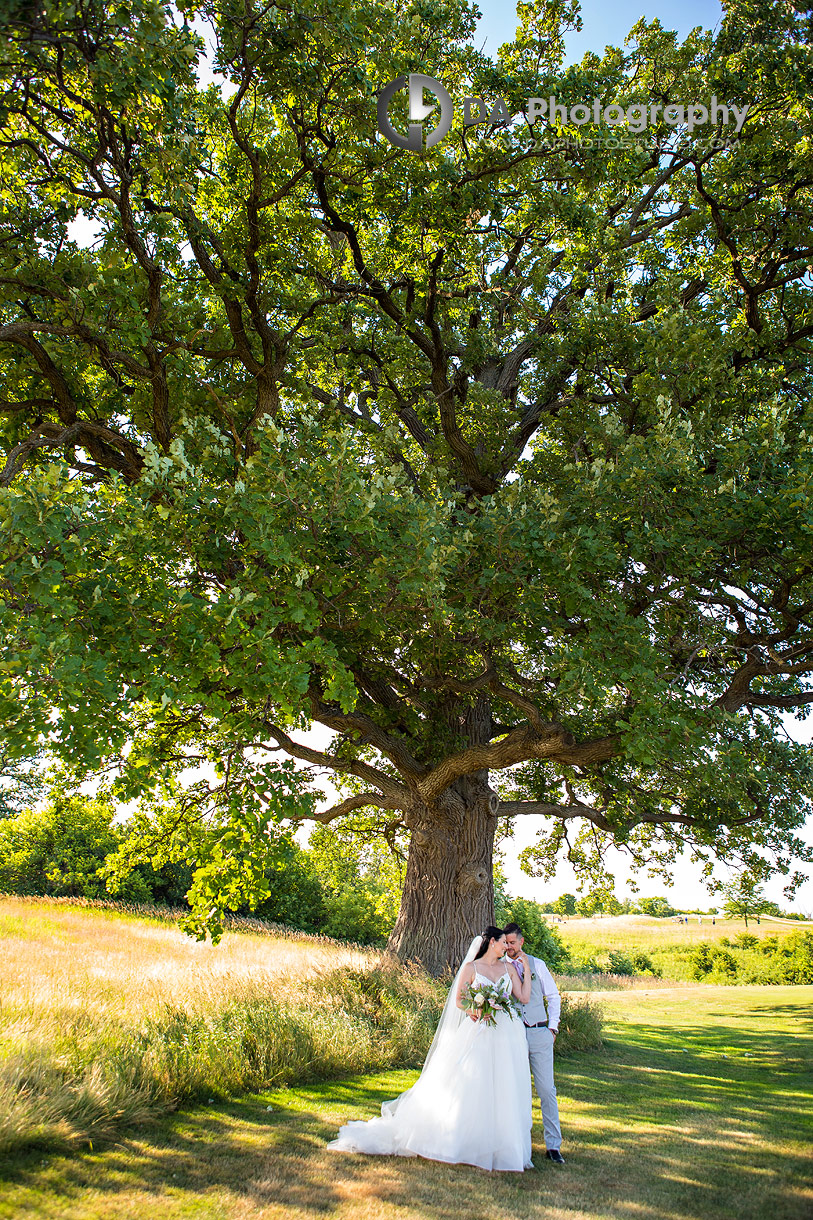 Wedding Photographer for Piper's Heath