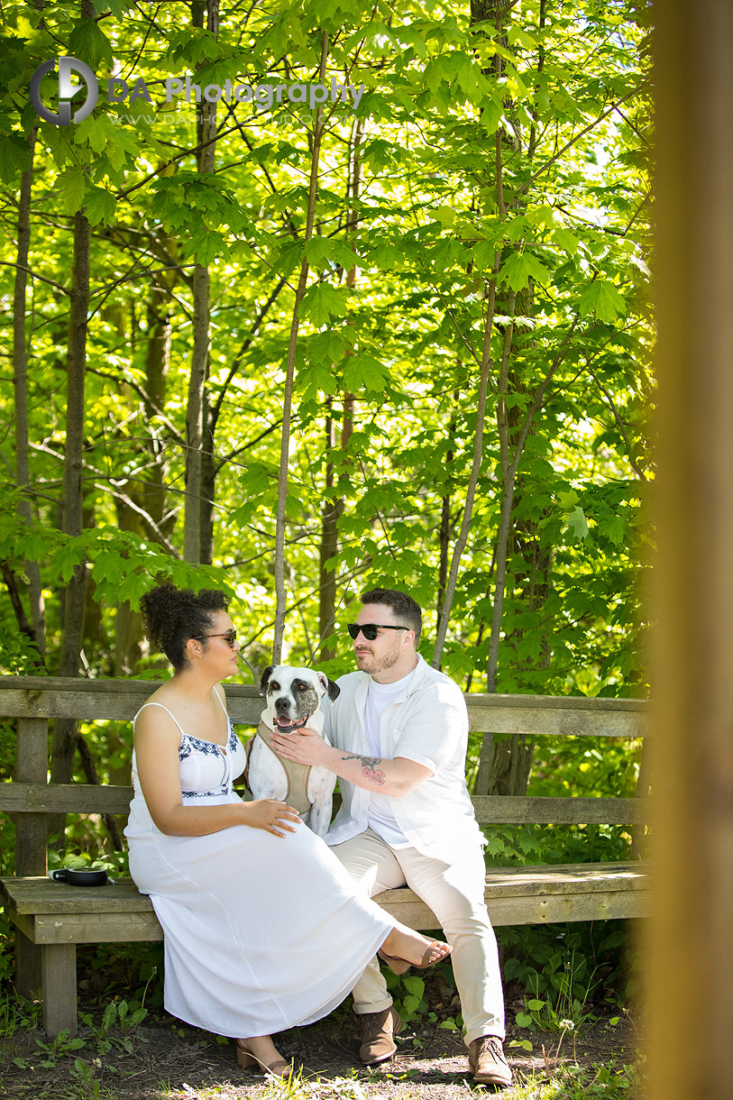 Engagement photographer in Lincoln at Balls Falls