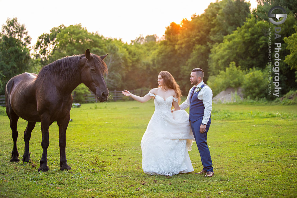 Bride and groom taking boho wedding photos near the horses at NithRidge